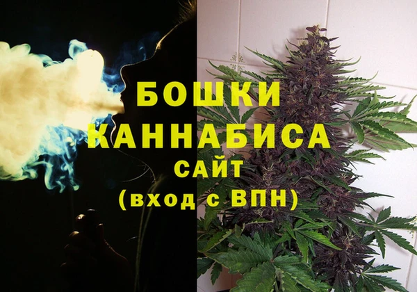 гидропоника Белокуриха