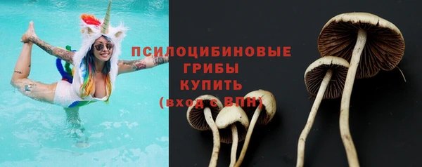 молекула духа Беломорск