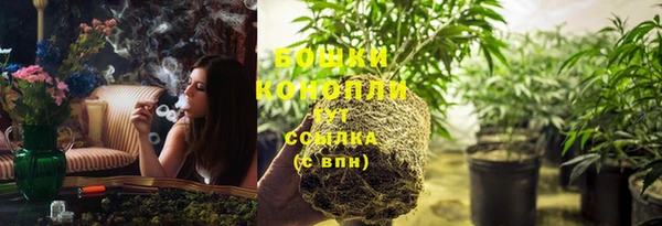 гидропоника Белокуриха