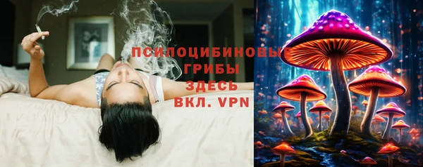 гидропоника Белокуриха