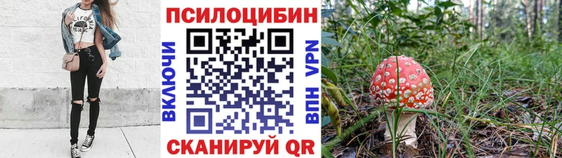 Галлюциногенные грибы прущие грибы  Чишмы 